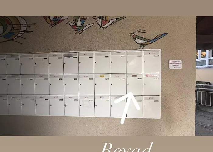 Reyad * جارمش بارتنكيرشن