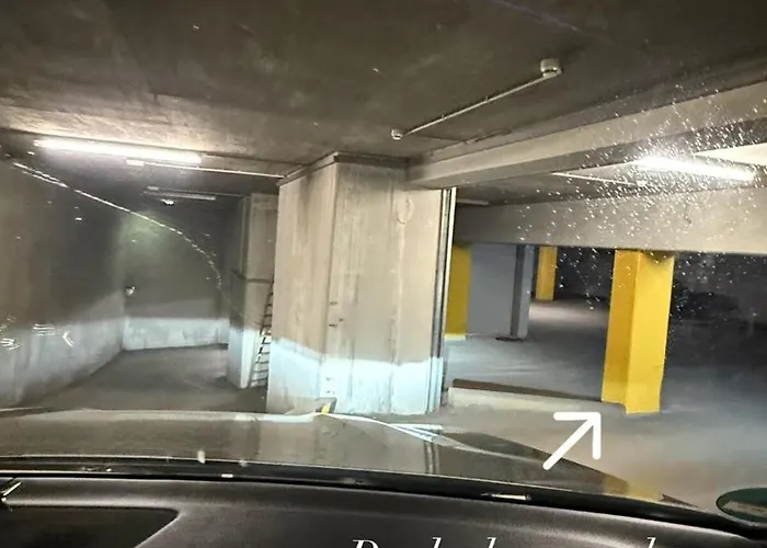 Reyad جارمش بارتنكيرشن